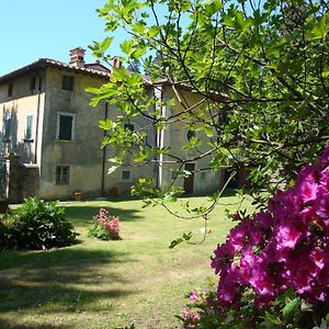 Bed&Breakfast Villa Masini-Luccetti